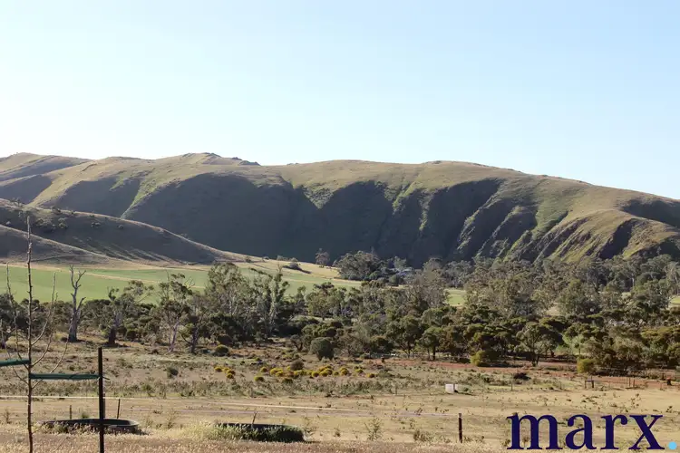 Third view of Homely rural property listing, 136 Pine Crest Road, Cambrai SA 5353