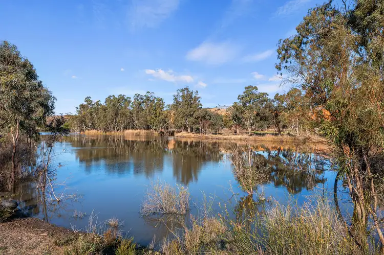 Fourth view of Homely rural property listing, 707 Cliff View Drive, Wongulla SA 5238