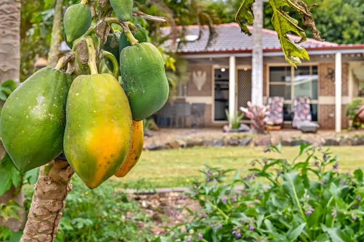 Fifth view of Homely house listing, 9 Diamantina Drive, Beerwah QLD 4519