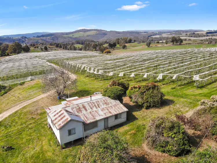 Second view of Homely house listing, 396 Old Tumbarumba Road, Batlow NSW 2730