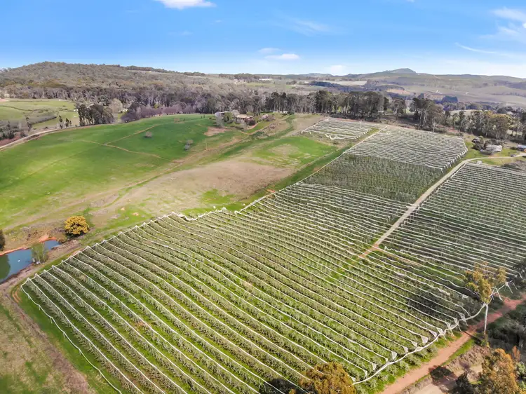 Third view of Homely house listing, 396 Old Tumbarumba Road, Batlow NSW 2730