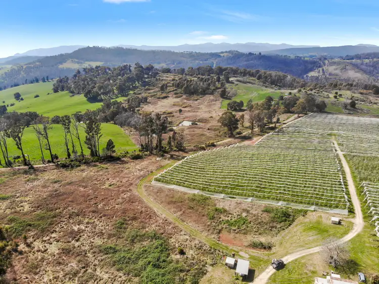 Fourth view of Homely house listing, 396 Old Tumbarumba Road, Batlow NSW 2730