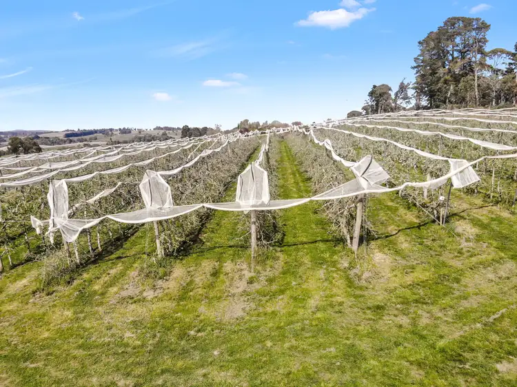 Fifth view of Homely house listing, 396 Old Tumbarumba Road, Batlow NSW 2730