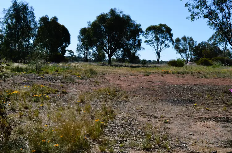 44-46 Devlin Street, Coolamon NSW 2701