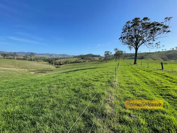 Third view of Homely rural property listing, 319 Bundook Road, Gloucester NSW 2422