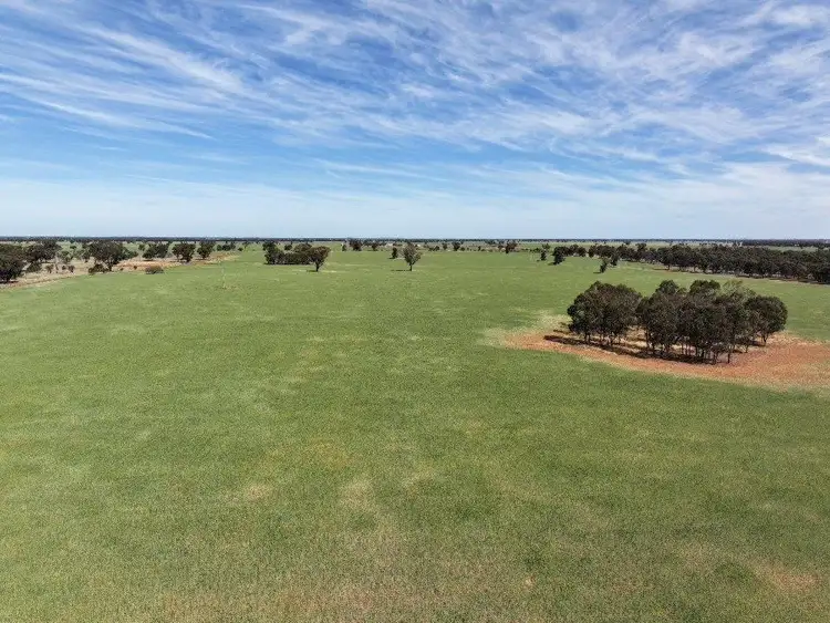 Third view of Homely rural property listing, 121 Curries Lane, Cowabbie NSW 2652
