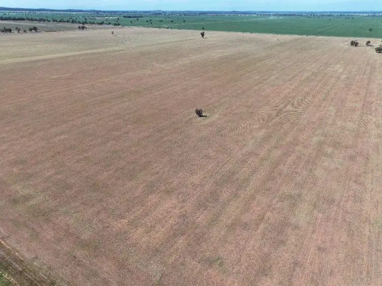 Fifth view of Homely rural property listing, 121 Curries Lane, Cowabbie NSW 2652
