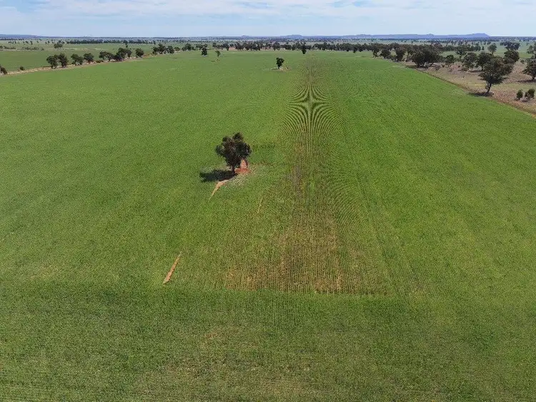 Sixth view of Homely rural property listing, 121 Curries Lane, Cowabbie NSW 2652