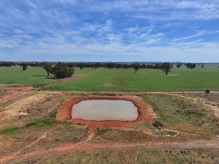 Seventh view of Homely rural property listing, 121 Curries Lane, Cowabbie NSW 2652