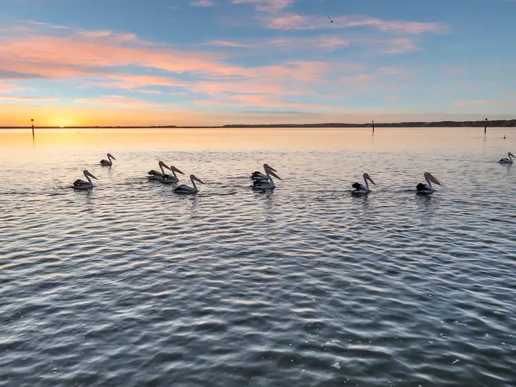 Fourth view of Homely rural property listing, Shacks 10-11 Barker Knoll on the Murray Mouth, Coorong SA 5264