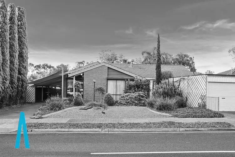 45 Damian Drive