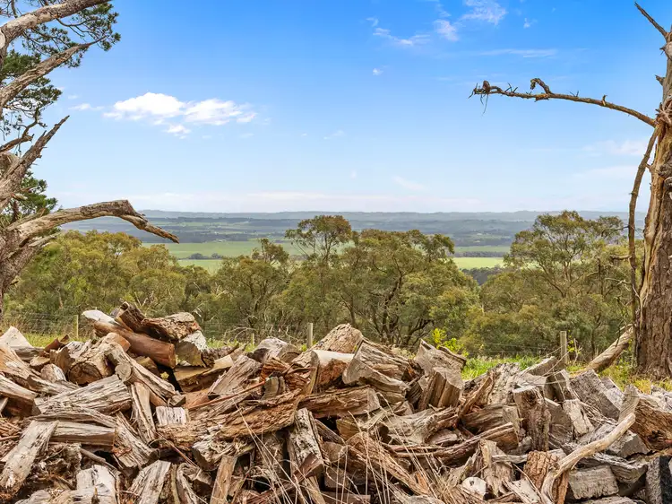 Fourth view of Homely rural property listing, 200 Buffalo North Rd, Buffalo VIC 3958