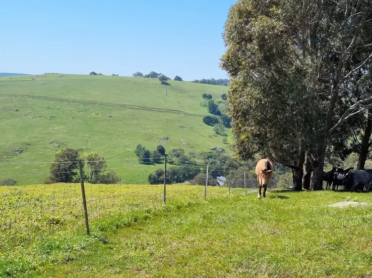 Seventh view of Homely rural property listing, Lot 8 Catalano Road, Burekup WA 6227
