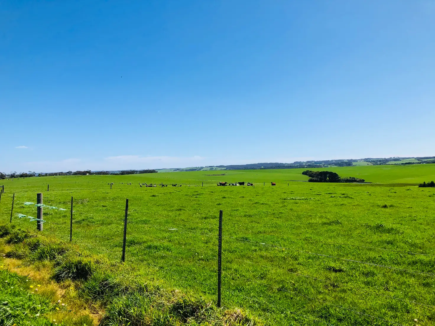 Main view of Homely rural property listing, 2988 Meeniyan-Prom Rd, Yanakie VIC 3960