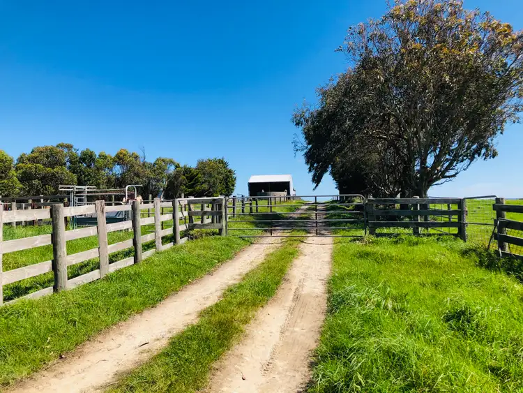 Sixth view of Homely rural property listing, 2988 Meeniyan-Prom Rd, Yanakie VIC 3960