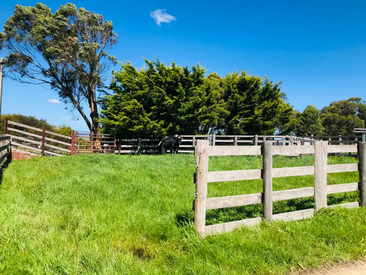 Seventh view of Homely rural property listing, 2988 Meeniyan-Prom Rd, Yanakie VIC 3960