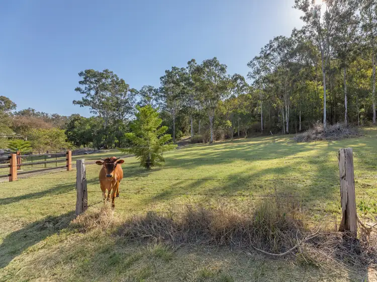 Third view of Homely rural property listing, 986-1004 Pine Mountain Road, Pine Mountain QLD 4306