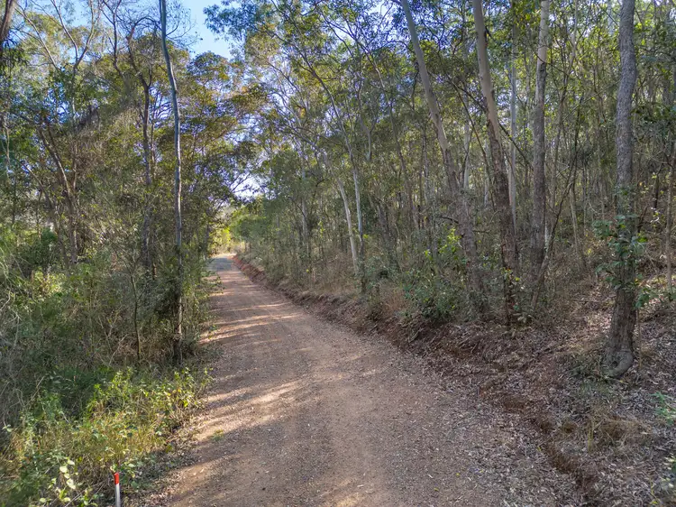 Seventh view of Homely rural property listing, 986-1004 Pine Mountain Road, Pine Mountain QLD 4306