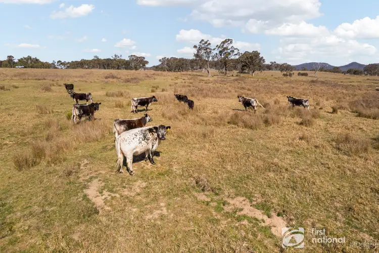 Sixth view of Homely rural property listing, 845 Narrango Road, Rylstone NSW 2849