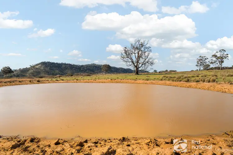 Seventh view of Homely rural property listing, 845 Narrango Road, Rylstone NSW 2849