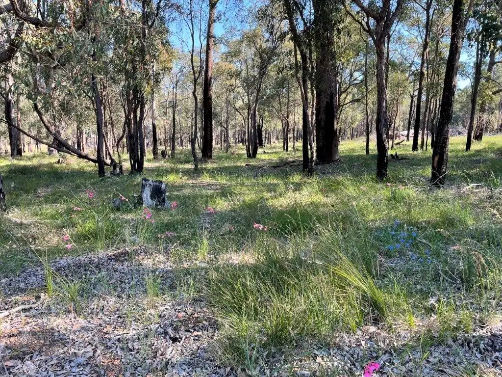 Main view of Homely land listing, Proposed Lot 73 Whitlam Street, Mount Helena WA 6082