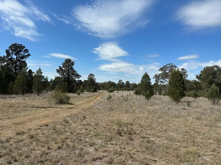 Main view of Homely rural property listing, 79 Mercadool Lane, Bogan Gate NSW 2876