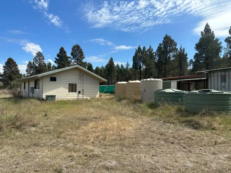 Sixth view of Homely rural property listing, 79 Mercadool Lane, Bogan Gate NSW 2876