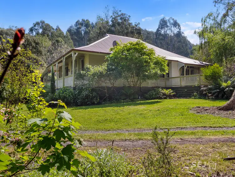 Second view of Homely rural property listing, 60 Goads Road, Mardan VIC 3953