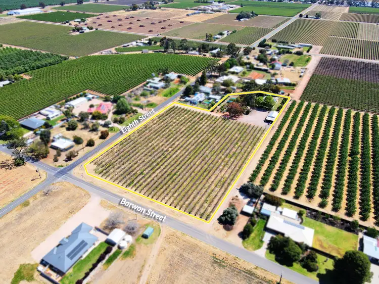 Second view of Homely house listing, 170 Eighth Street, Renmark SA 5341