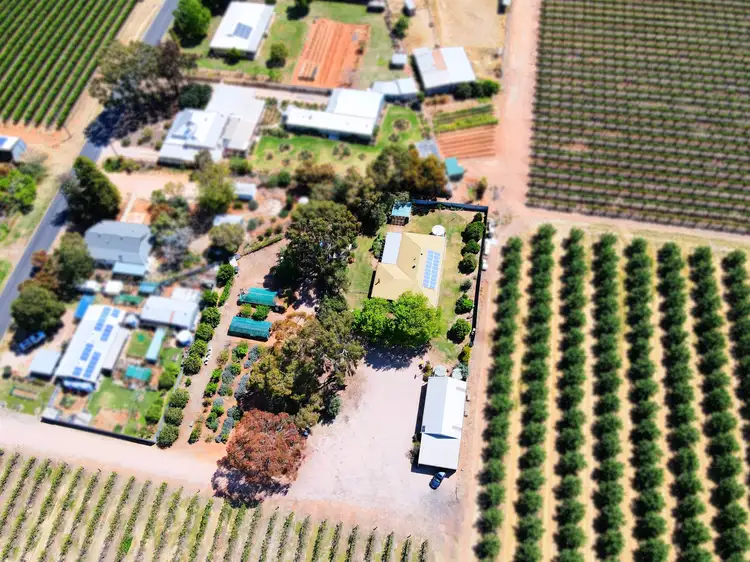 Fifth view of Homely house listing, 170 Eighth Street, Renmark SA 5341