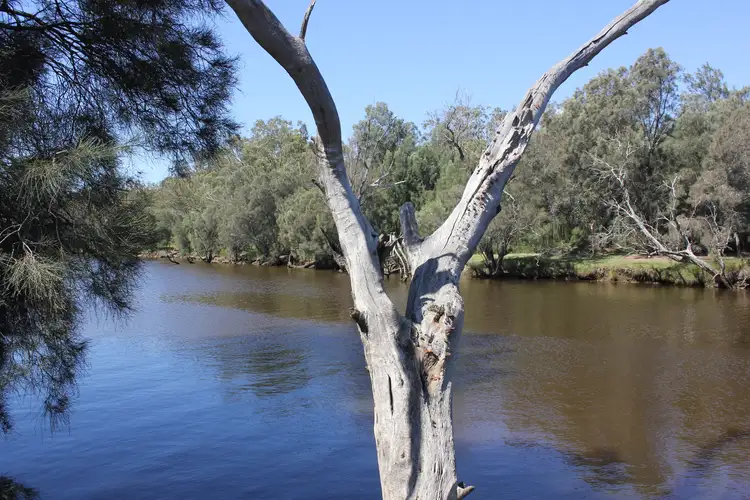 Fifth view of Homely land listing, LOT 17 Caversham Avenue, Caversham WA 6055