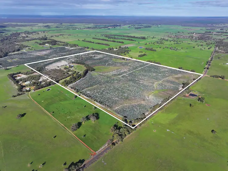 Third view of Homely rural property listing, 587 Capel Tutunup Road (Tutunup), Busselton WA 6280