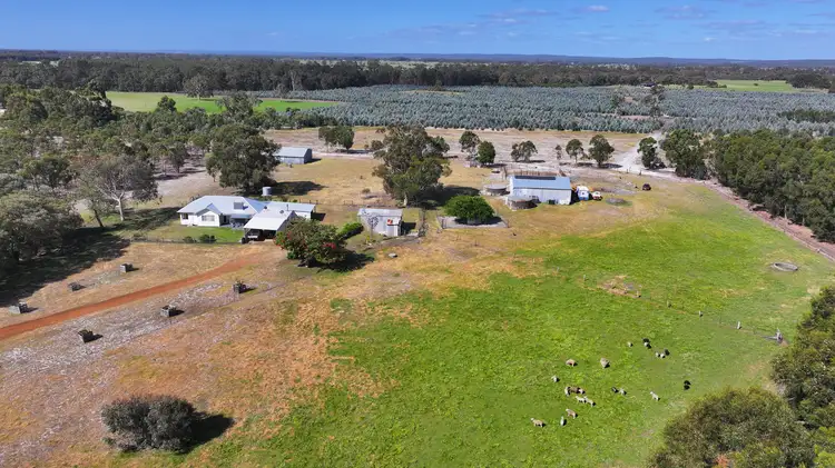 Fifth view of Homely rural property listing, 587 Capel Tutunup Road (Tutunup), Busselton WA 6280