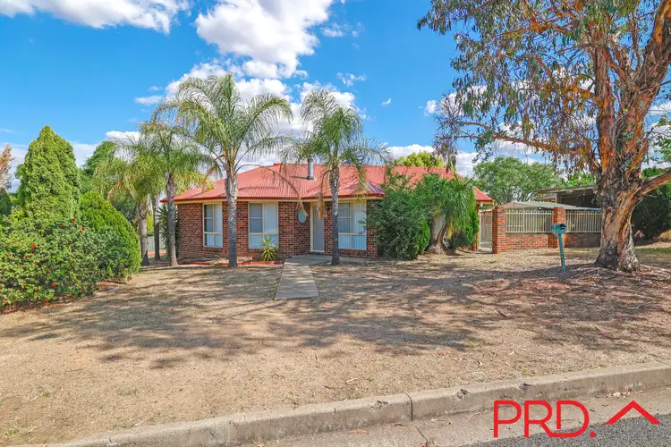 Main view of Homely house listing, 43 Allawah Street, Tamworth NSW 2340