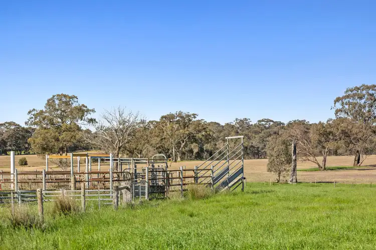 Seventh view of Homely rural property listing, 189 Siddles Road, Redesdale VIC 3444
