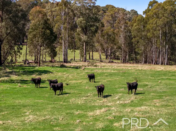 Third view of Homely land listing, 2836 - 2860 Batlow Road, Kunama NSW 2730