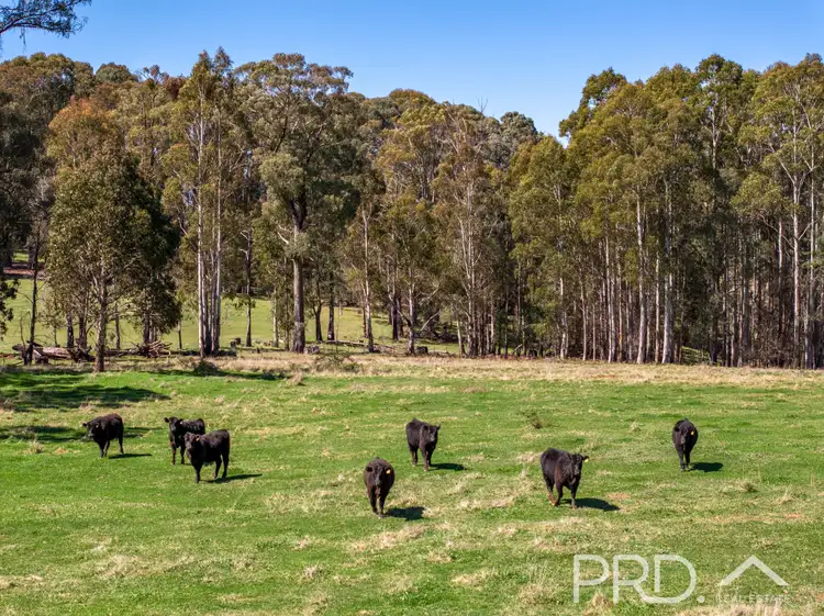 Fourth view of Homely land listing, 2836 - 2860 Batlow Road, Kunama NSW 2730