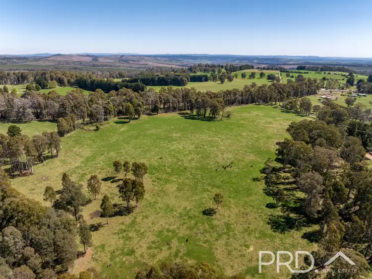 Fifth view of Homely land listing, 2836 - 2860 Batlow Road, Kunama NSW 2730