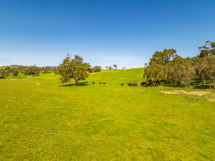Fourth view of Homely rural property listing, Lot 201 (Proposed), 5985 Main South Road, Yankalilla SA 5203