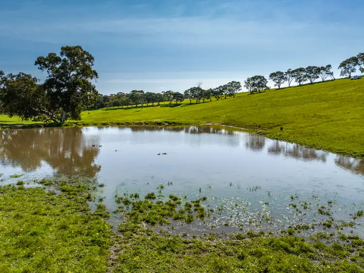 Sixth view of Homely rural property listing, Lot 201 (Proposed), 5985 Main South Road, Yankalilla SA 5203