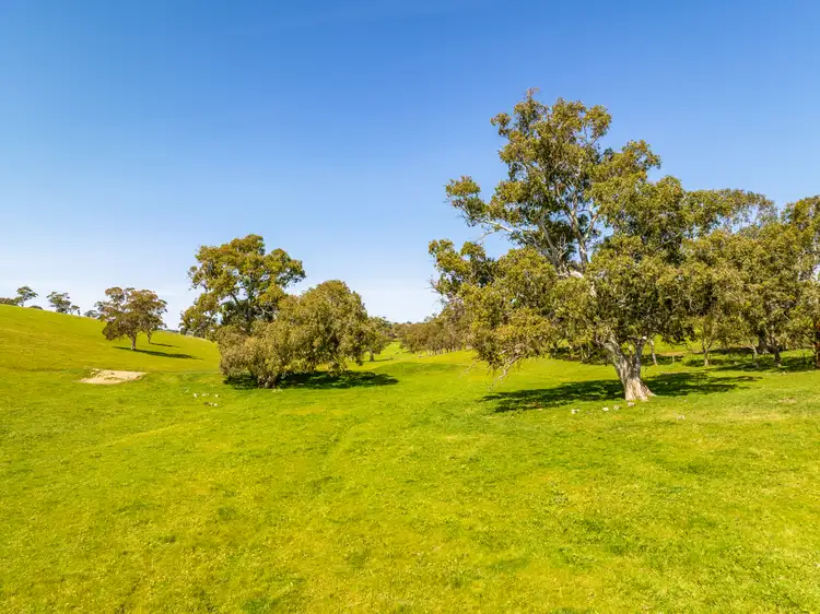 Seventh view of Homely rural property listing, Lot 201 (Proposed), 5985 Main South Road, Yankalilla SA 5203