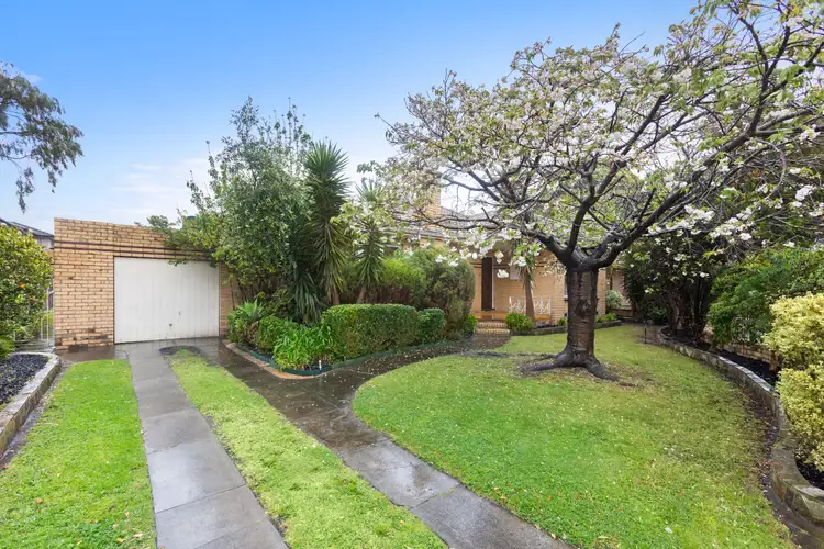 Main view of Homely house listing, 5 Shelford Court, Cheltenham VIC 3192