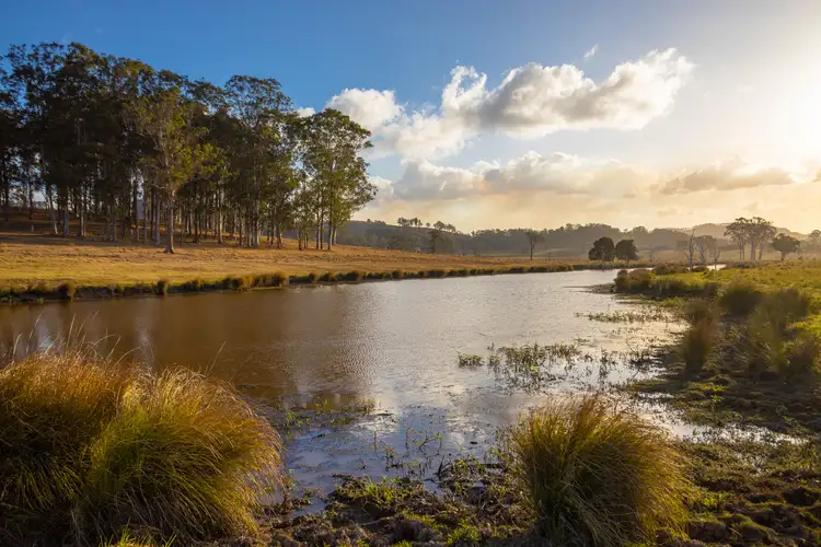 Fourth view of Homely rural property listing, 107 Milligans Lane, Firefly NSW 2429