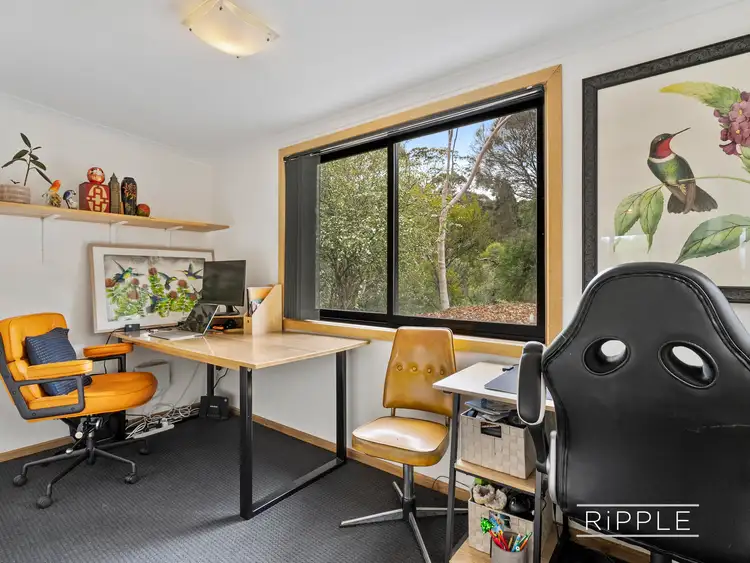 Fifth view of Homely house listing, 44 Conrad Drive, Otago TAS 7017