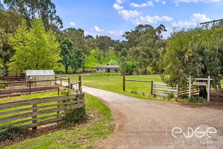 449 Shillabeer Road, Sampson Flat SA 5114