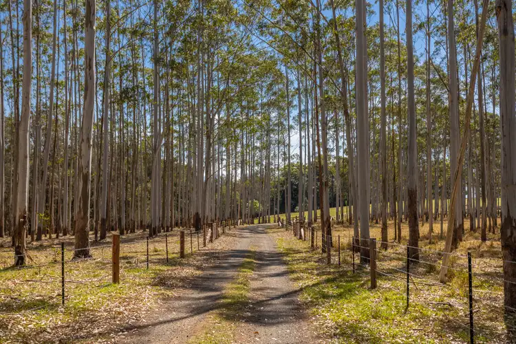 Fourth view of Homely rural property listing, 16805 Pacific Highway, Pampoolah NSW 2430