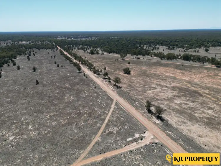 Sixth view of Homely rural property listing, 1119 Werah Creek Road, Wee Waa NSW 2388