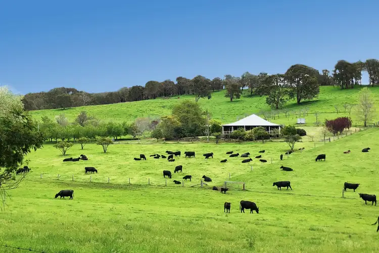 Main view of Homely rural property listing, 217 Wildmere Road (Charley Creek), Donnybrook WA 6239