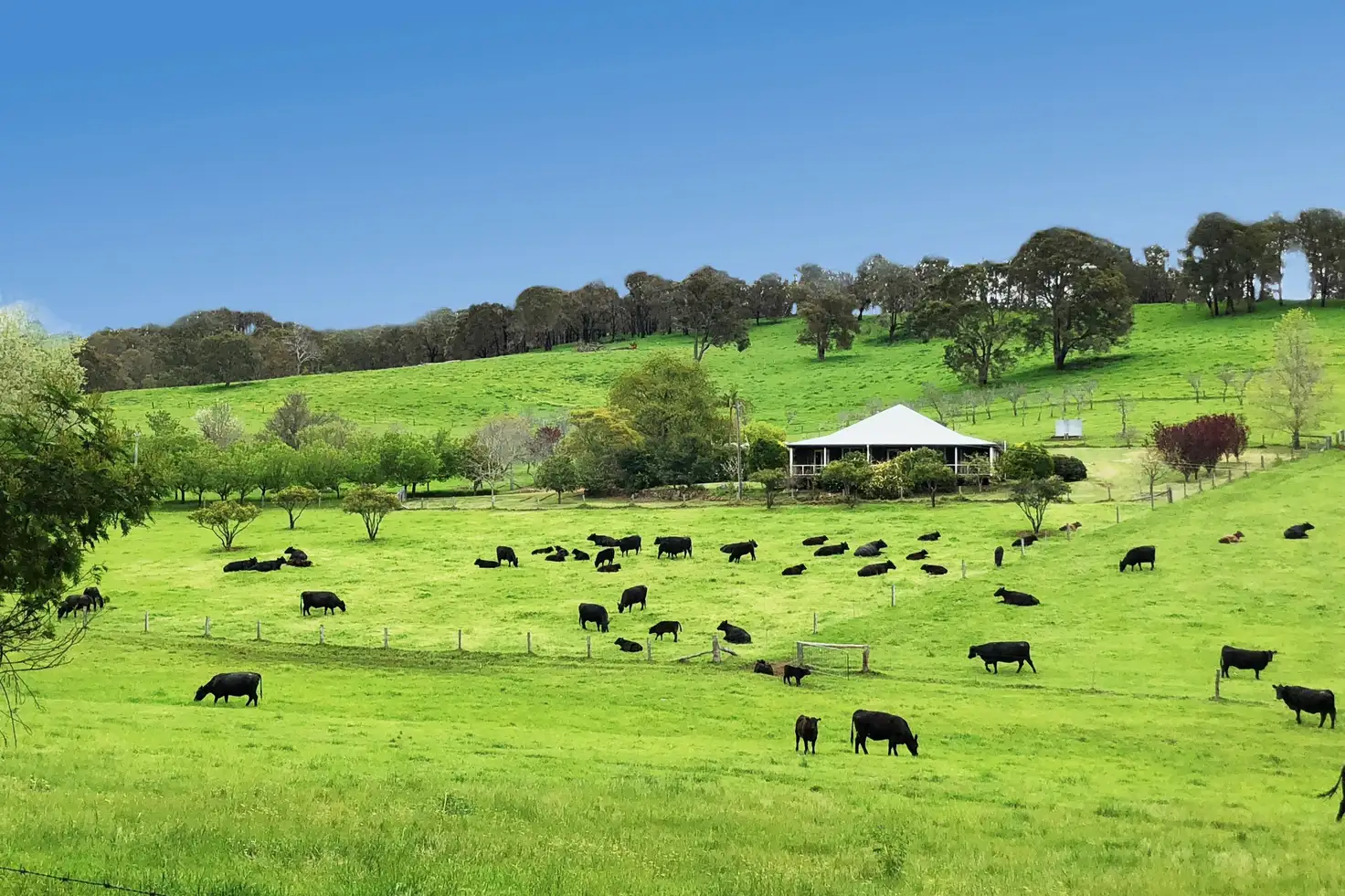 Main view of Homely rural property listing, 217 Wildmere Road (Charley Creek), Donnybrook WA 6239
