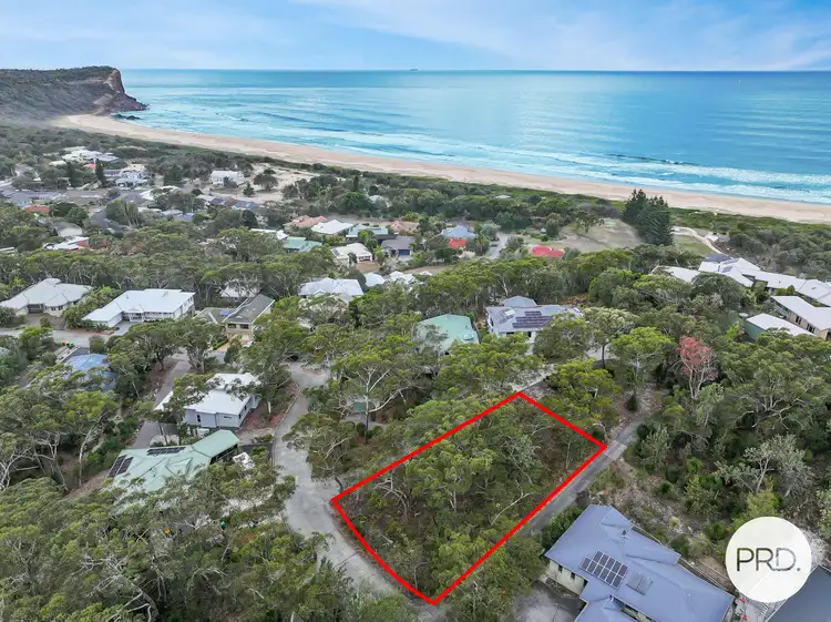 Main view of Homely land listing, 13 Pindari Drive, Dunbogan NSW 2443